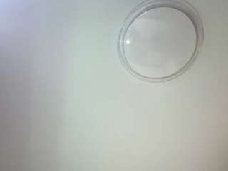 danfreyre's CamSoda show and profile