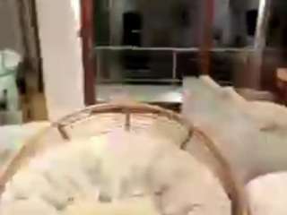 florentinashindo's CamSoda show and profile