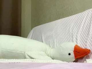 petrinaruhter webcam