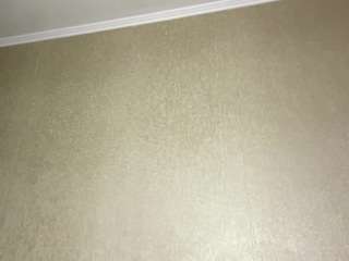 petrinaruhter webcam