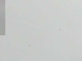 yailingarcia, female webcam model,  years old, on live webcam