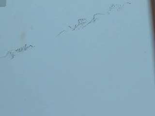 lunavelvetiller webcam