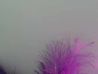 queen-rousse Live Webcam on CamSoda