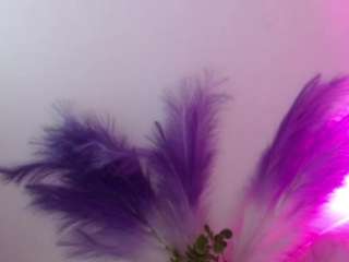 queen-rousse live cam profile