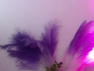 queen-rousse live cam profile