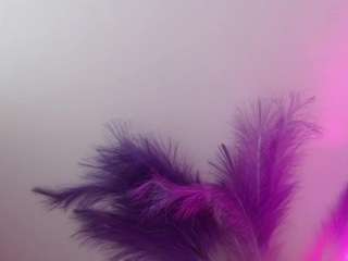 queen-rousse live cam profile