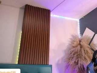 hiddenhotcake webcam