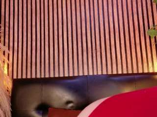 hiddenhotcake webcam