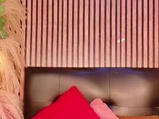 hiddenhotcake webcam