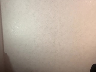 palmaschwien live cam profile