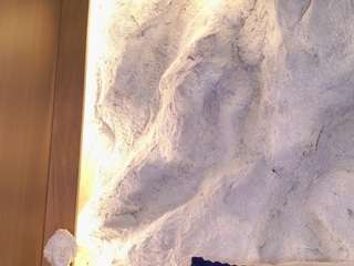bella-mush webcam