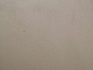 candyy-queen, female webcam model,  years old, on live webcam