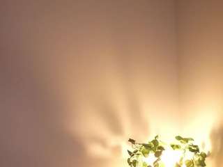 gladismoc Sex Cam Show