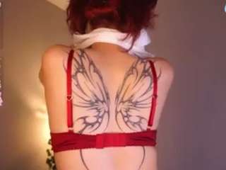 Aurora live webcam show