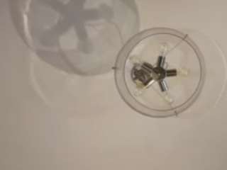 Live webcam model hopefrench on Soda Cams