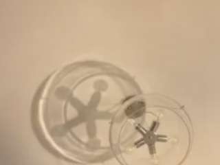 Golden Ticket Show: BLOWJOB !!! (50 tokens per ticket)