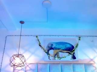 madissonrousecs Live Webcam on CamSoda