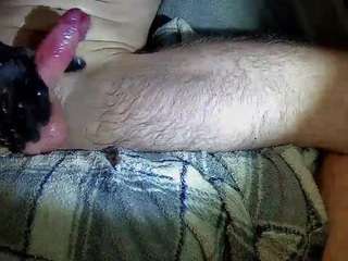 klatschenmusses webcam