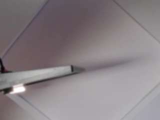 barbaraslim