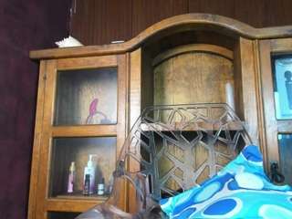 sapphire-gold webcam