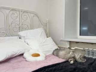 carolannlakey webcam