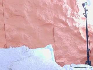 Alexa live webcam show