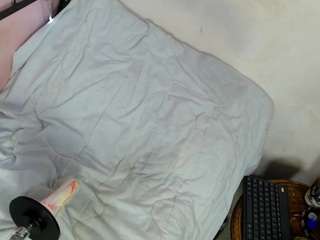 codorniz Live Webcam on CamSoda