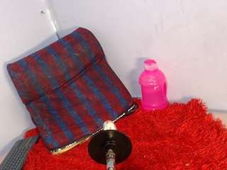 codorniz