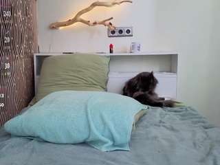 vibejenny