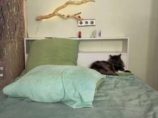 vibejenny