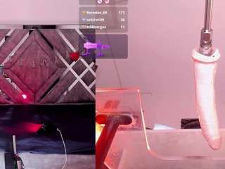 AriaNova live webcam show