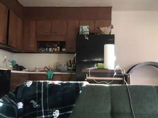 venustheflytrap webcam