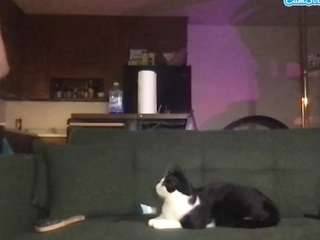 Live webcam model venustheflytrap on Soda Cams