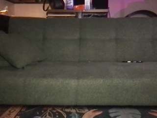 venustheflytrap webcam