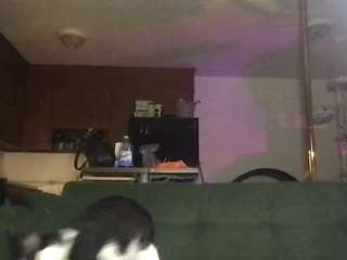 venustheflytrap webcam