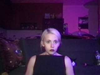 venustheflytrap webcam