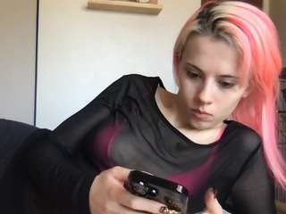 venustheflytrap webcam