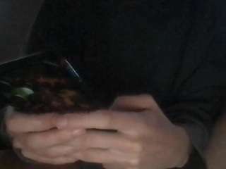 venustheflytrap