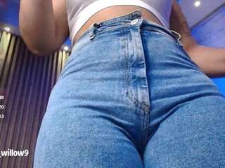 aurorawillow9 webcam