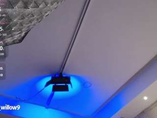 aurorawillow9 webcam