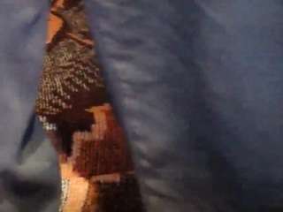 Szaszaxxx69Archipelago