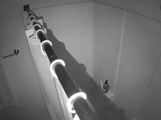 voyeurcam-whitneyoc-shower
