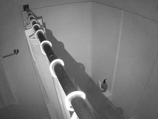 voyeurcam-whitneyoc-shower
