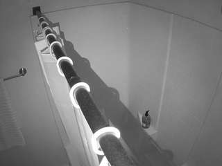 Эта модель сейчас онлайн. voyeurcam-whitneyoc-shower