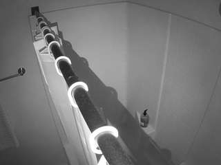 voyeurcam-whitneyoc-shower