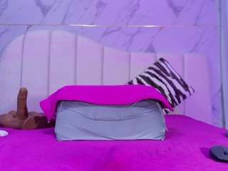 ashly-ml