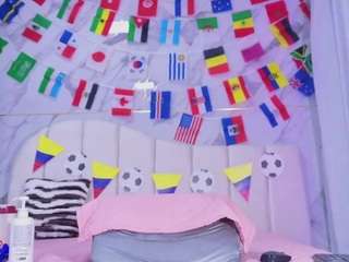 ashly-ml