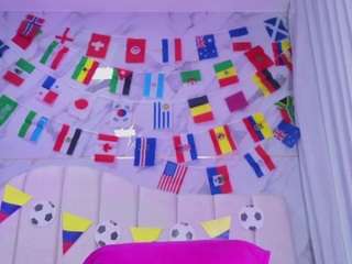 ashly-ml