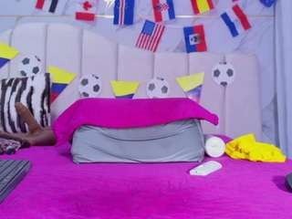 ashly-ml