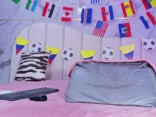ashly-ml